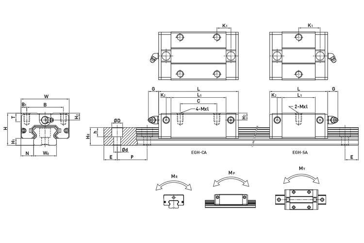 EGH-SA_EGH-CA_model