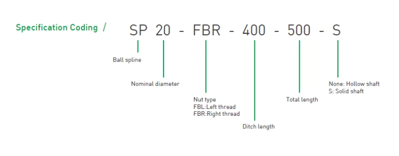 ตัวอย่าง Code Spline