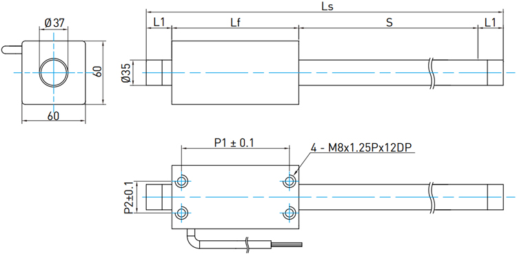 Linear Shaft Motors - LMTC series