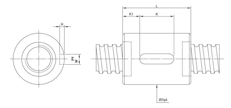 HIWIN Ball screw - RSI Type