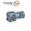 TRANSMAX Gear Motor - TS series Helical-Worm