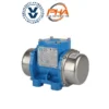 VENANZETTI Vibrators Motor - VV series Three Phase