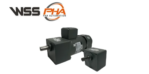 WSS Gear Motor - Micro Motor with Terminal