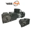 WSS Gear Motor - Micro Solid Shaft Gear with Motor